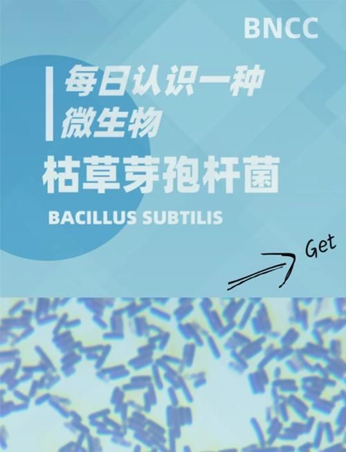 有哪些益生菌適合放在魚缸里？，水產養殖與觀賞魚缸中的益生菌的使用