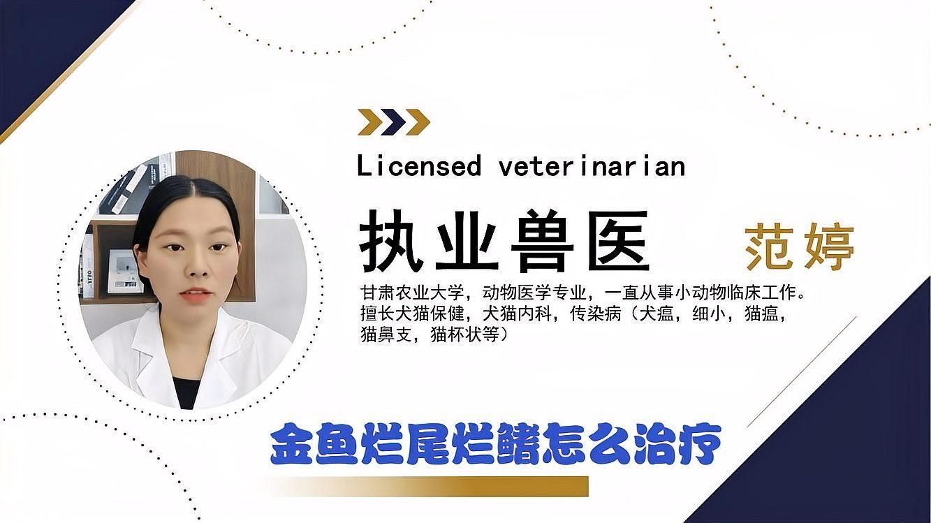 金魚爛尾病如何治療，金魚爛尾病如何治療金魚爛尾病的方法有以下幾種