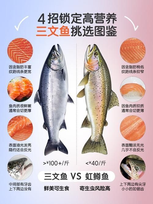 紅龍魚食用安全標準