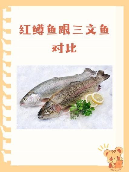 紅龍魚食用安全標準