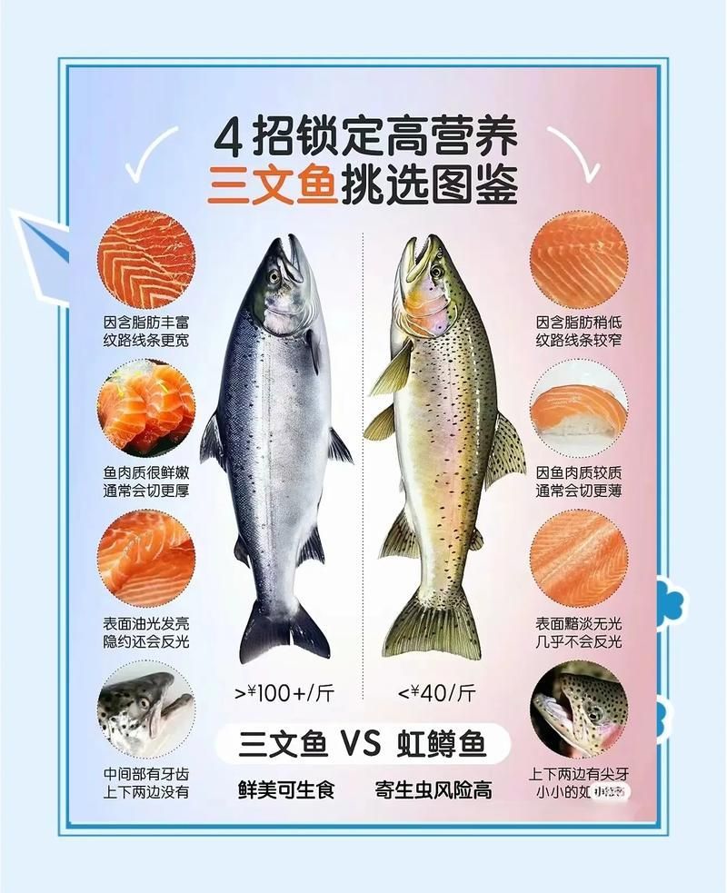 紅龍魚食用安全標準