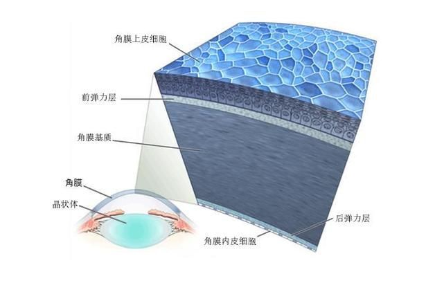 如何預防魚眼白膜的發(fā)生，如何預防魚眼白膜