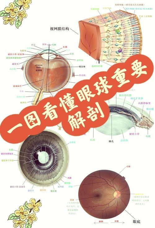 如何預防魚眼白膜的發(fā)生，如何預防魚眼白膜