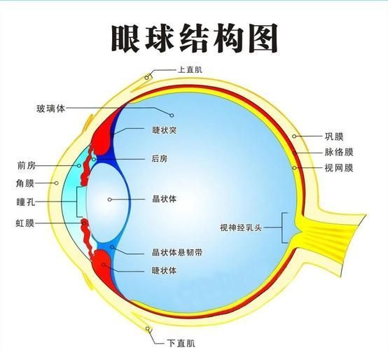 如何預防魚眼白膜的發(fā)生，如何預防魚眼白膜