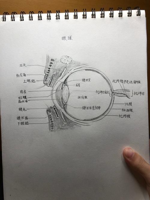 如何預防魚眼白膜的發(fā)生，如何預防魚眼白膜