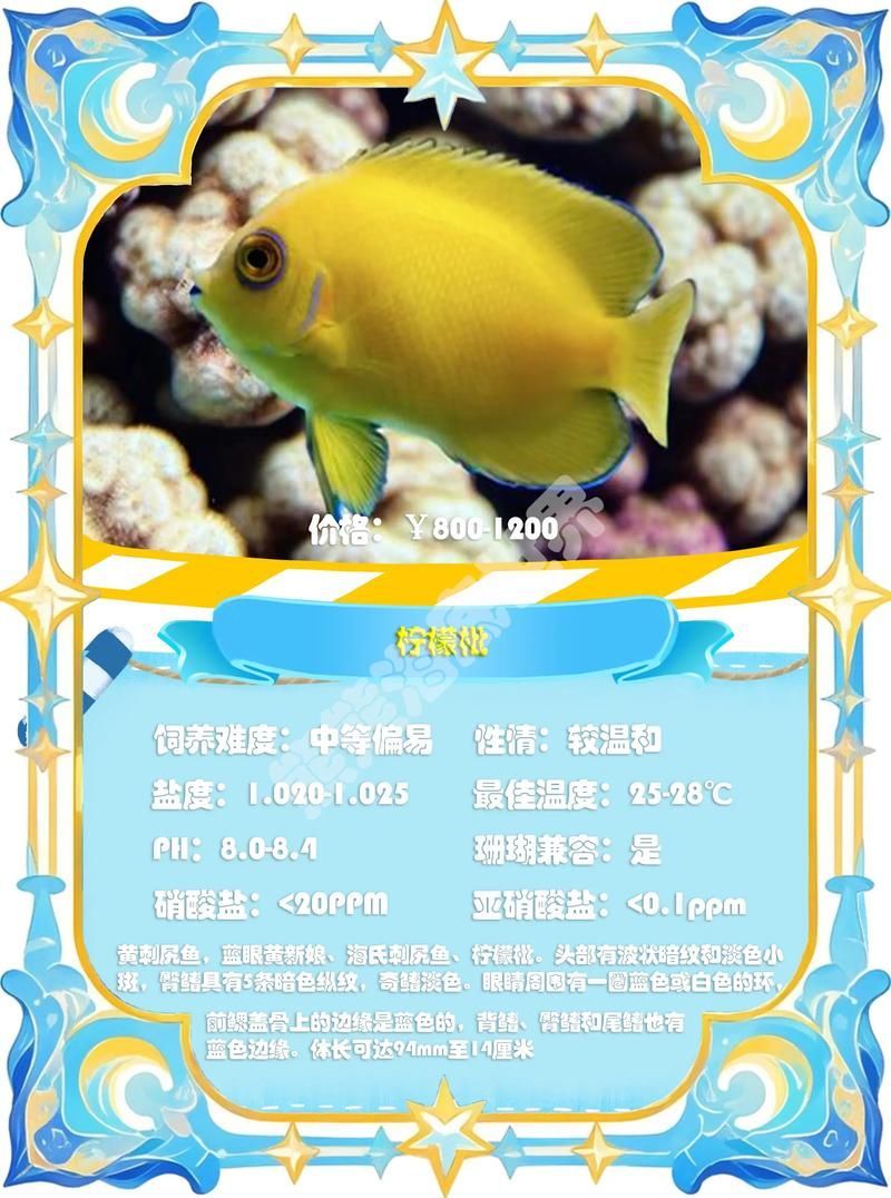 如何判斷赤荔鳳冠魚是否成熟？，如何判斷“赤荔鳳冠魚”并非成熟？