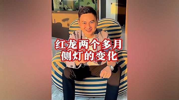 如何選擇適合的龍魚燈？
