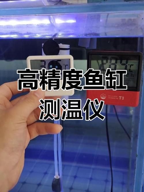 如何判斷金龍魚是否需要升溫，北京冬季金龍魚低溫狀態與低溫狀態對比圖