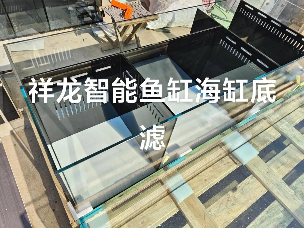 祥龍魚場的魚缸定制價格如何？，成都祥龍水族館的魚缸定制價格如何？