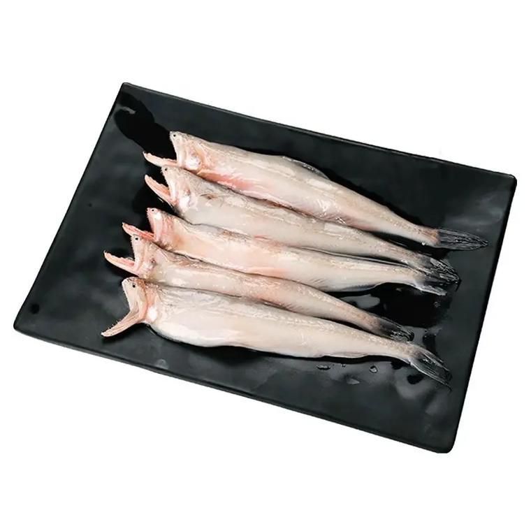 如何區(qū)分龍頭魚和江龍魚