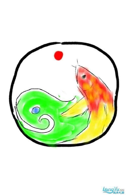 有哪些權威機構可以鑒定大方龍魚，大方龍魚的鑒定