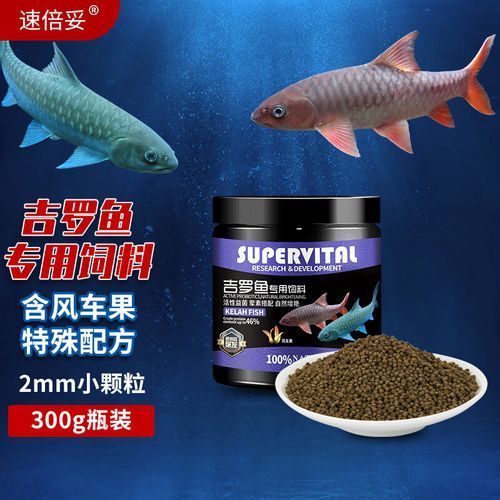 速倍妥魚糧有哪些型號？，速倍妥魚糧型號