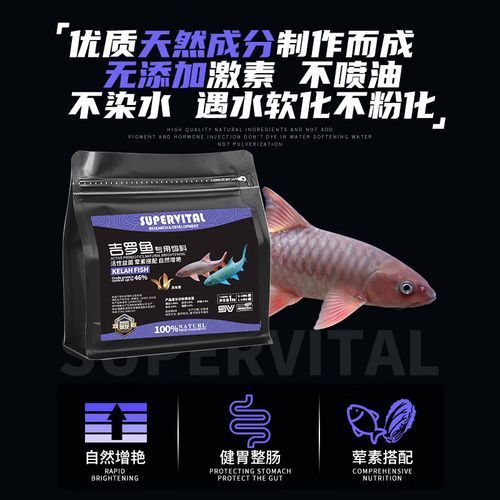 速倍妥魚糧有哪些型號？，速倍妥魚糧型號