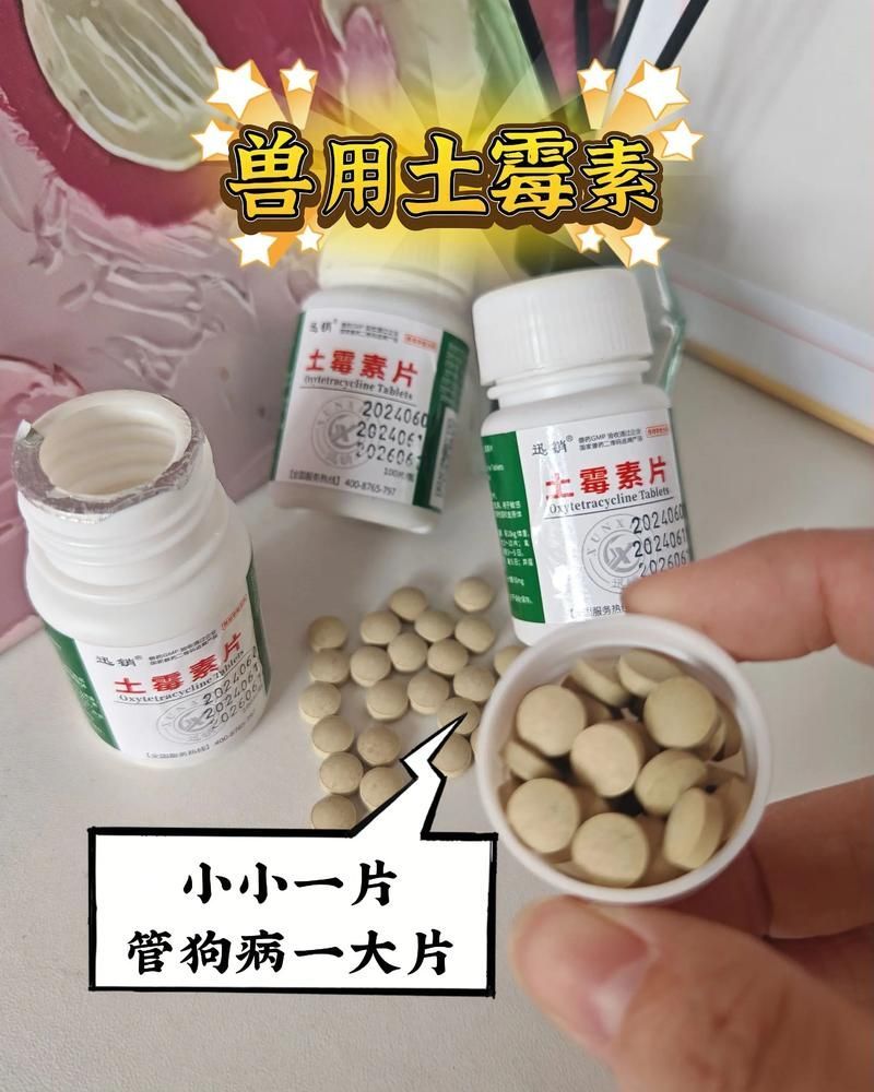 給我一些龍魚細菌性疾病的治療藥物，關(guān)于龍魚細菌性疾病用藥