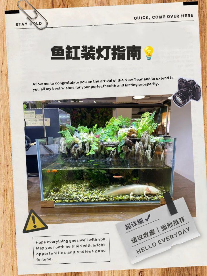 如何安裝和設置LED電子魚缸？，led電子魚缸led電子魚缸安裝與設置全流程詳解