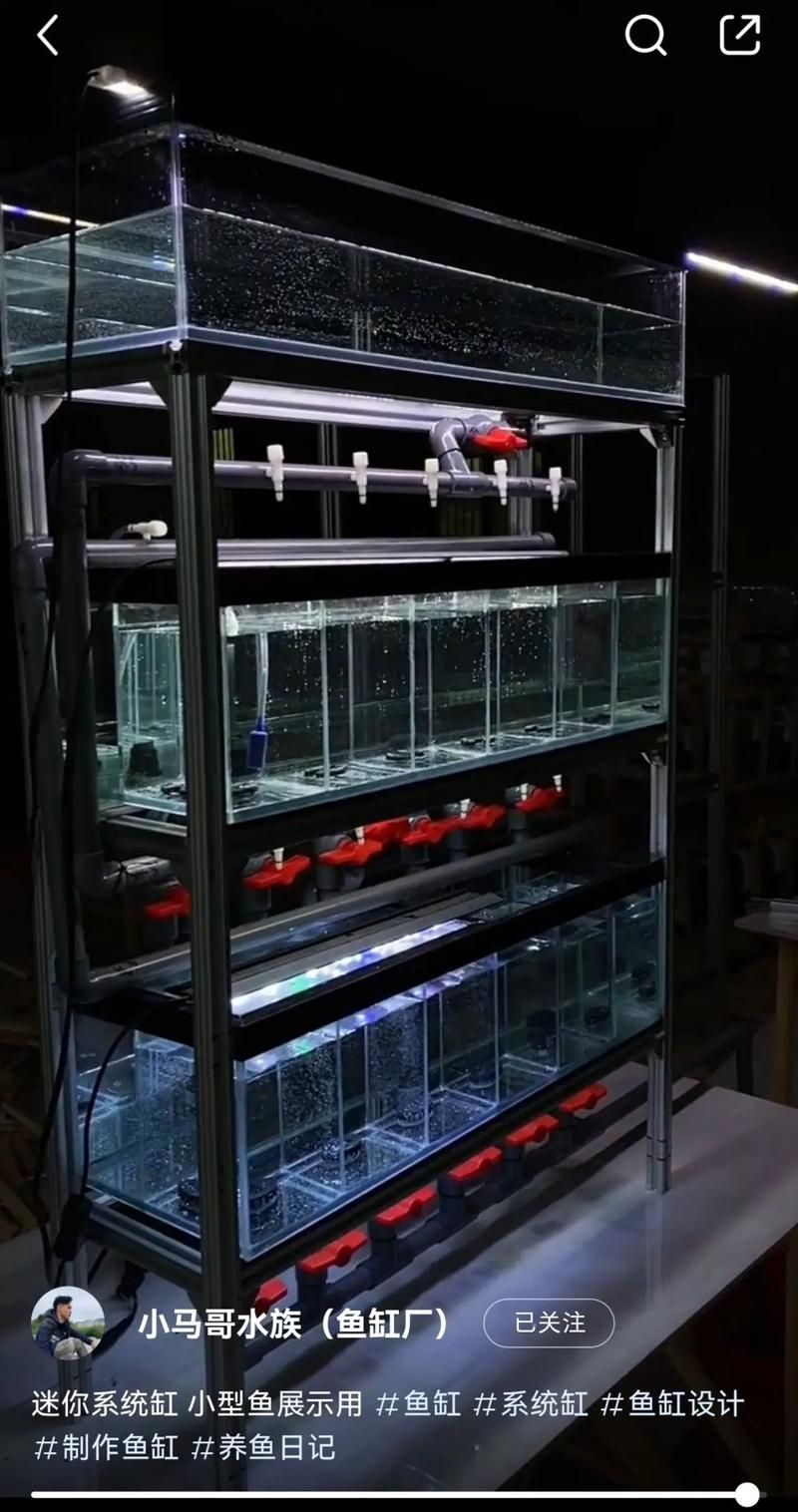 如何安裝和設(shè)置LED電子魚缸？，led電子魚缸led電子魚缸安裝與設(shè)置全流程詳解