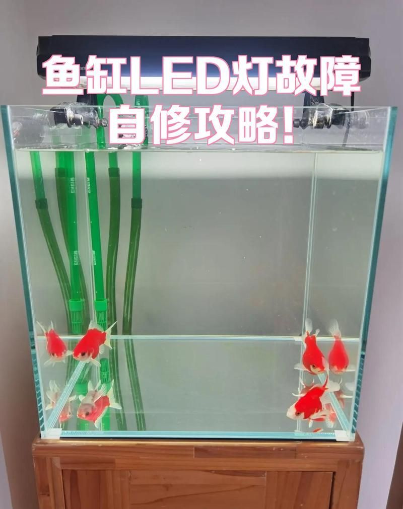 如何安裝和設置LED電子魚缸？，led電子魚缸led電子魚缸安裝與設置全流程詳解