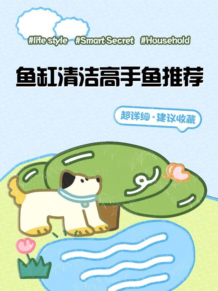 龍魚缸工具魚數量多少合適？，龍魚缸工具魚數量多少合適