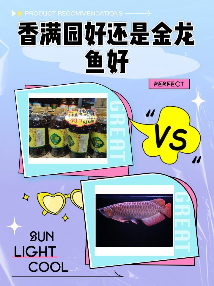 香滿園和金龍魚哪個更適合家庭使用，香滿園和金龍魚哪個更適合家庭使用香滿園和金龍魚