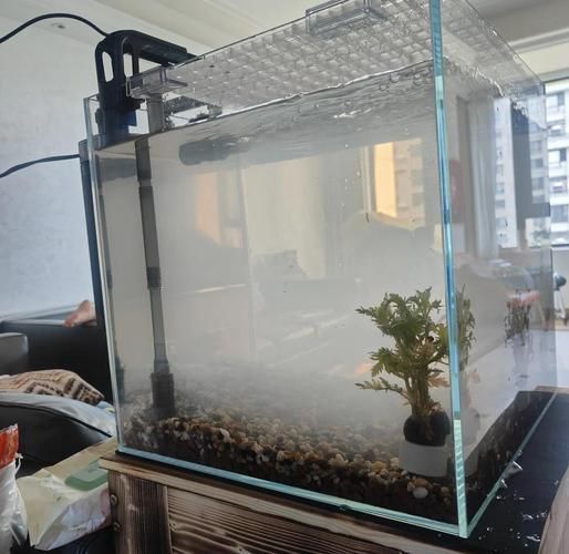 如何改善龍魚缸中的溶氧量？，如何改善龍魚缸中的溶氧量改善龍魚缸中的溶氧量效率