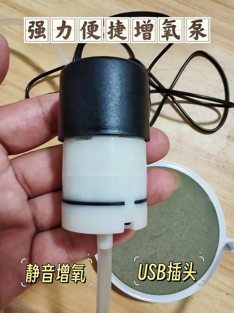 如何改善龍魚缸中的溶氧量？，如何改善龍魚缸中的溶氧量改善龍魚缸中的溶氧量效率