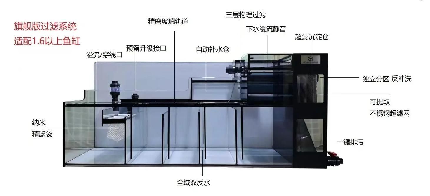 龍魚缸如何選擇？
