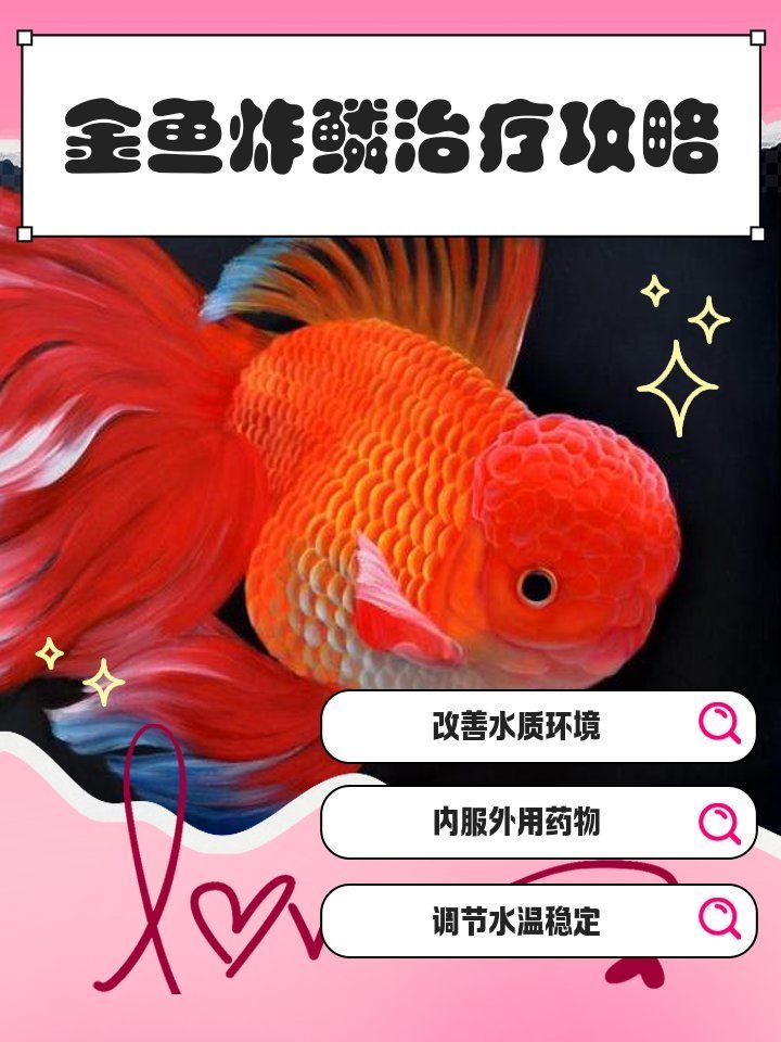 金魚炸鱗自愈需要多長(zhǎng)時(shí)間，金魚炸鱗自愈需要多長(zhǎng)時(shí)間金魚炸鱗后能否自愈、需要多久恢復(fù)