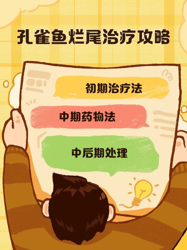 魚爛尾后多久會(huì)康復(fù)，孔雀魚爛尾治療攻略新奇想法及解決方法奶球喵喵的小窩