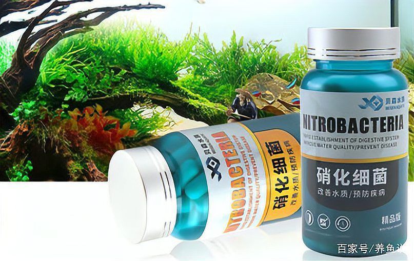 如何判斷裸缸硝化系統(tǒng)是否成熟，arxiv論文助手檢測裸缸硝化系統(tǒng)是否成熟思考完成