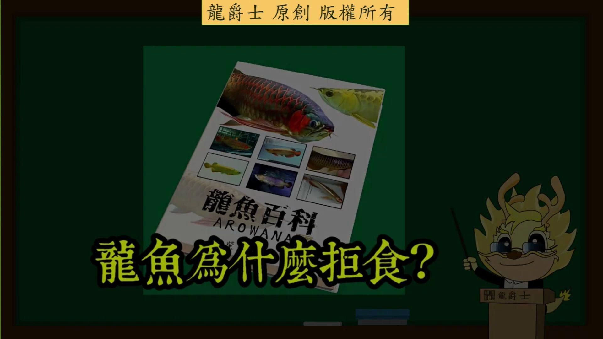 龍魚(yú)不吃飯會(huì)死嗎？，龍魚(yú)不吃飯會(huì)死嗎
