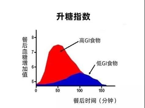 停食期間需要做什么