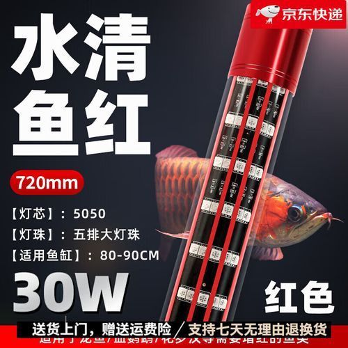 boxtech龍魚燈的價格范圍是多少？，boxtech龍魚燈哪個型號性價比最高