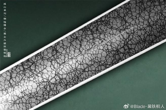 麥肯斯銀版魚壽命有多長？，關于麥肯斯銀版魚的一些建議