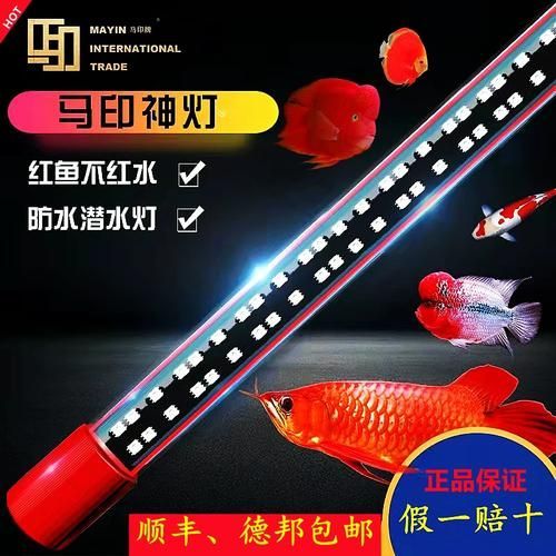有哪些品牌龍魚燈推薦？，哪些品牌龍魚燈值得推薦