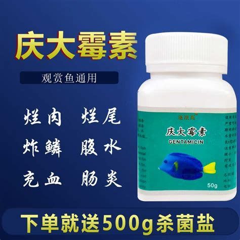 錦鯉爛尾爛鰭可以用鹽嗎，錦鯉爛尾爛鰭可以用鹽嗎錦鯉爛尾爛鰭可以用鹽嗎