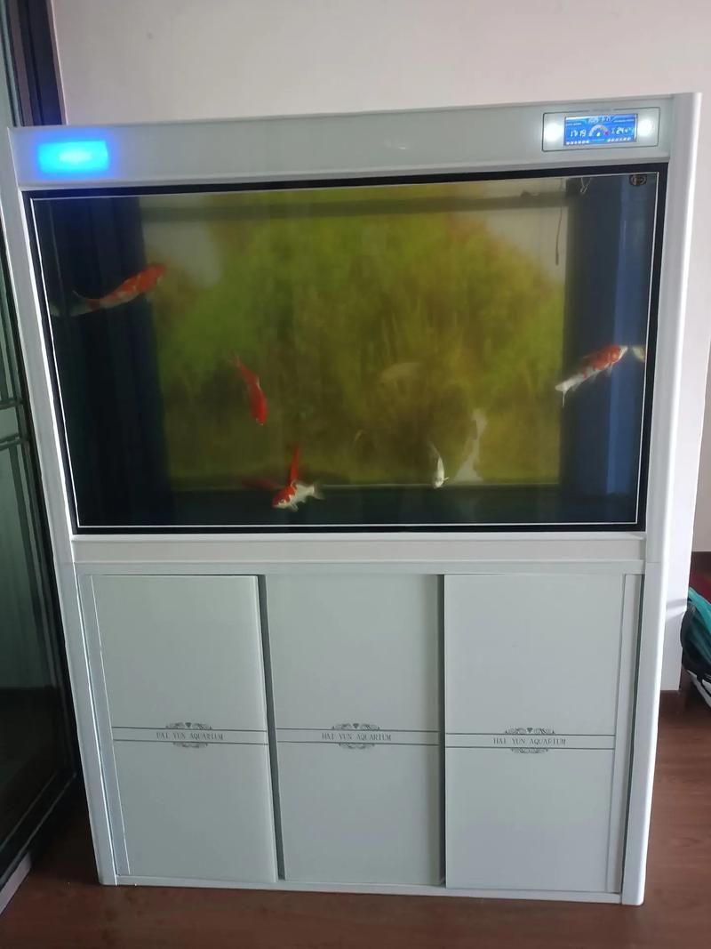 老款可麗愛魚缸的價格范圍，老款可麗愛魚缸價格范圍