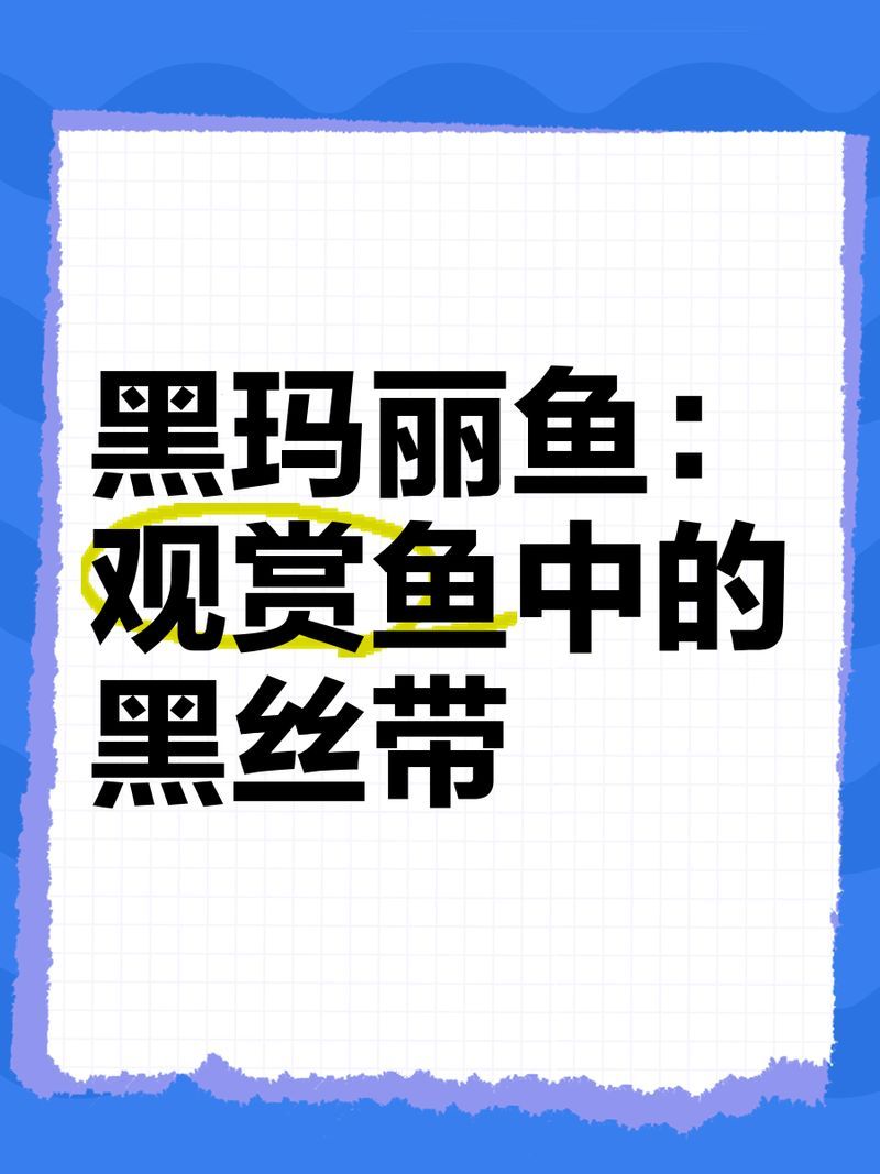 翁源龍魚和黑瑪麗魚哪個更受歡迎