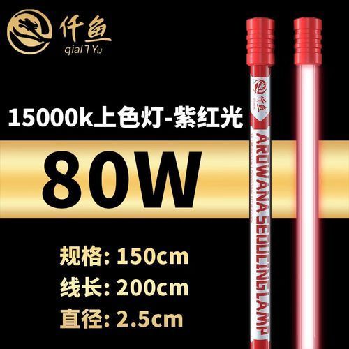 有哪些品牌推薦使用NEC龍魚燈，nec龍魚燈品牌對比清單