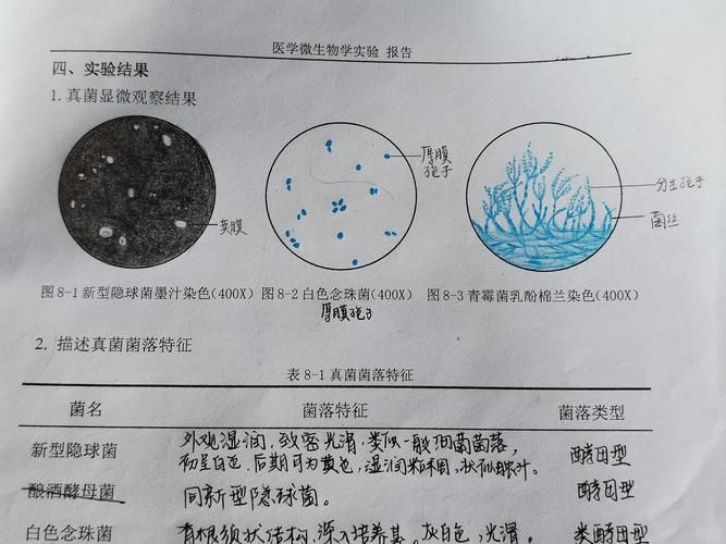 如何判斷魚是否感染真菌，如何判斷魚是否感染水霉病