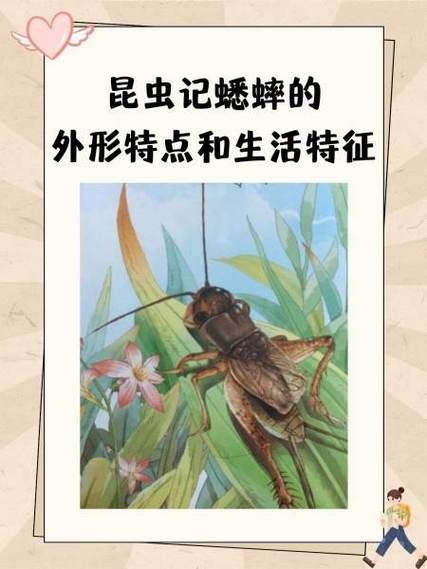 紅龍魚厭食如何刺激進食？，紅龍魚厭食如何刺激進食，用戶要求1000字說明和配圖