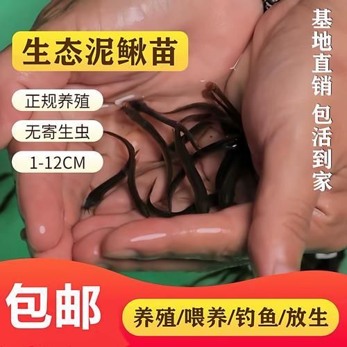 有沒有適合龍魚的活餌推薦，適合龍魚的活餌推薦