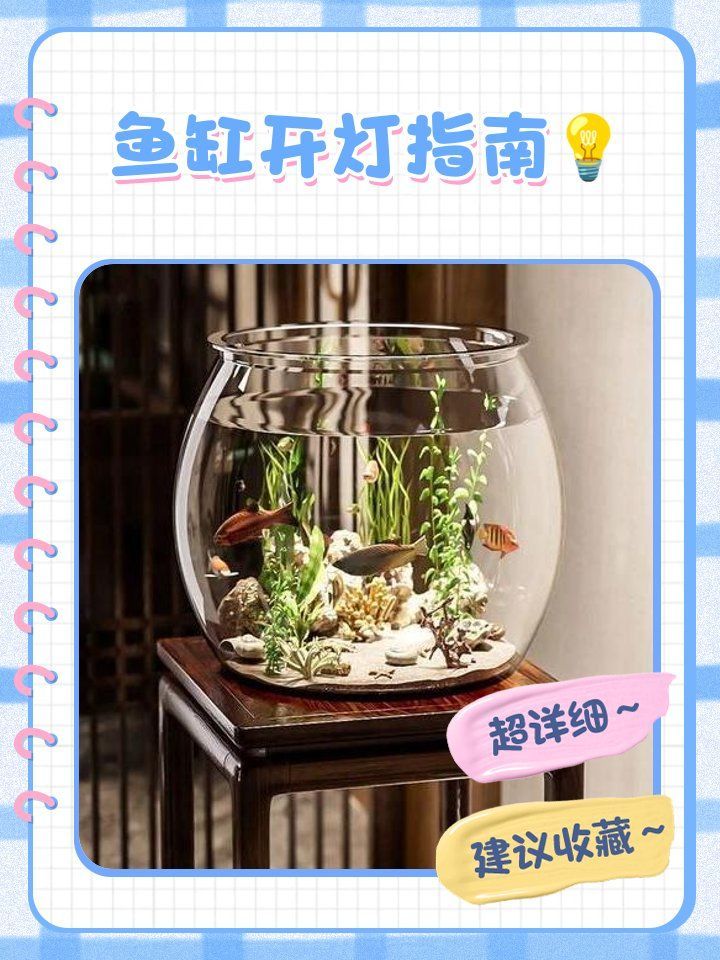 如何判斷魚缸燈光是否合適？，2026年長城杯龍魚大賽魚缸燈光是否合適