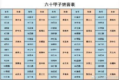 如何根據生肖選擇龍魚數量，關于龍魚數量的問題
