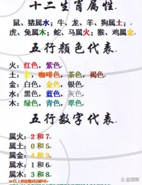 如何根據生肖選擇龍魚數量，關于龍魚數量的問題
