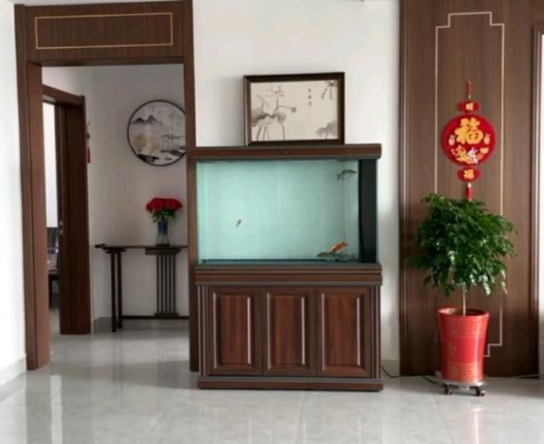 有哪些適合龍魚的魚缸品牌，適合龍魚的優質魚缸品牌