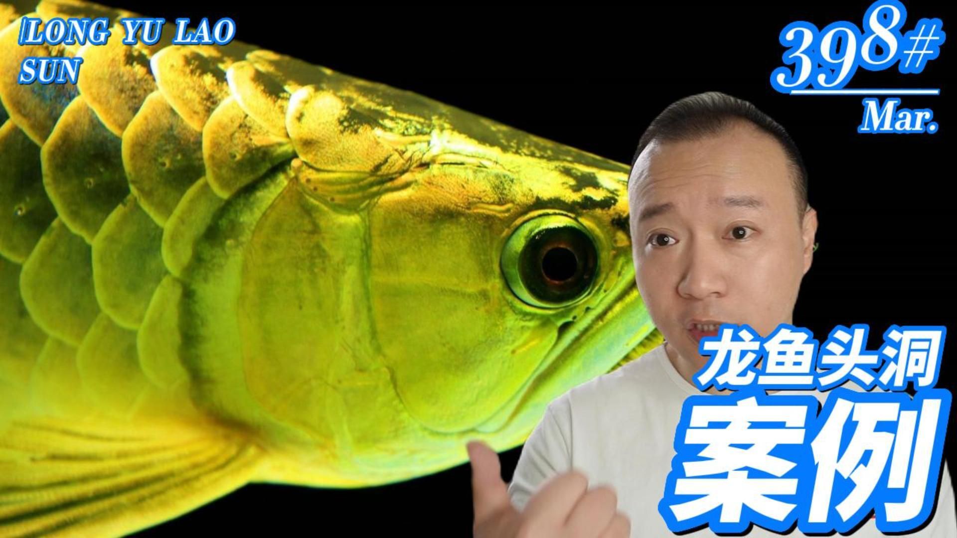 如何判斷龍魚是否需要抗菌消炎？，如何判斷龍魚抗菌消炎