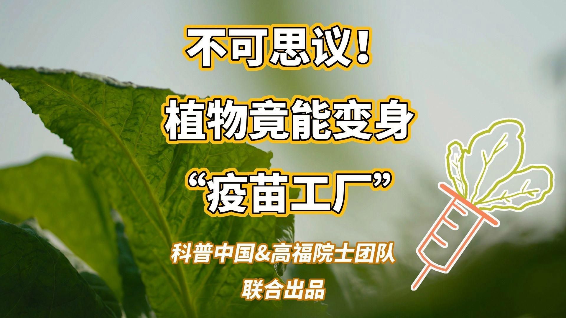 有哪些基因工程疫苗研發(fā)進(jìn)展，基因工程疫苗的研發(fā)