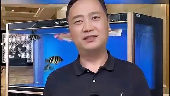 金魚肚子大會自愈嗎，小魚兒天地，金魚肚子鼓脹原因與治療全解析