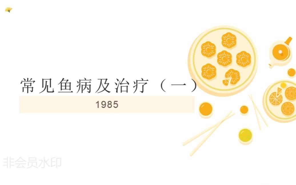 還有哪些常見的魚病癥狀