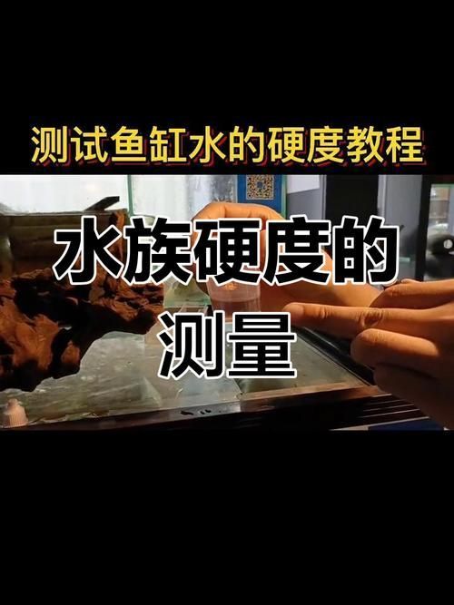 龍魚知識(shí)講座通常包括哪些內(nèi)容？，龍魚知識(shí)講座